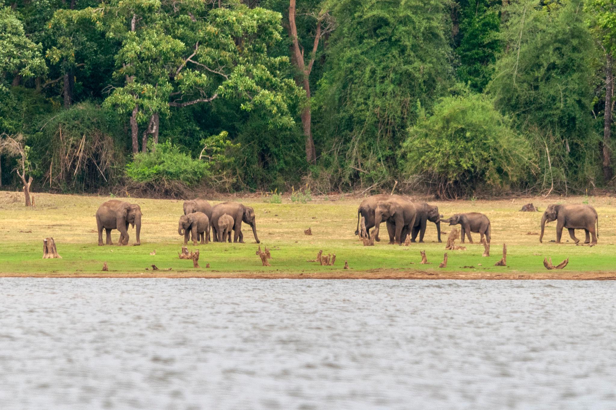Kabini Karnataka