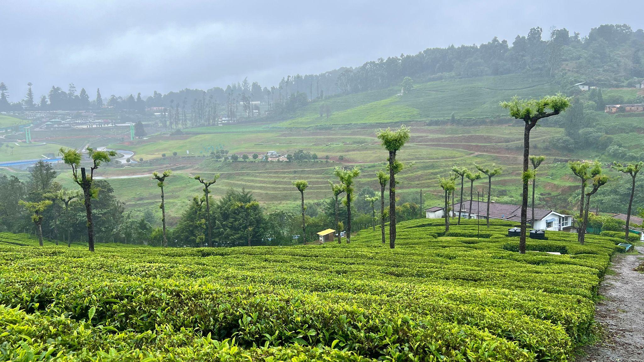 Kodaikanal Hill Station