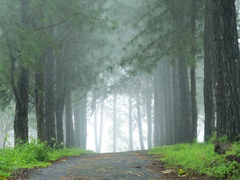 Coorg near Kerala
